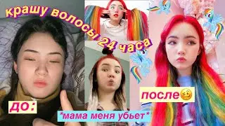 крашу волосы 24 часа дома