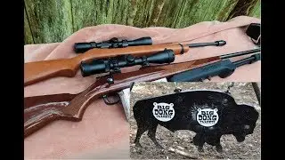 22lr VS .243 - SHOOTING STEEL