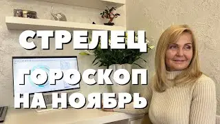 СТРЕЛЕЦ ГОРОСКОП НА НОЯБРЬ 2023 ГОДА ОТ VENUSLIFE