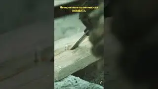 Самый крепкий нож 🤦🏻‍♂️