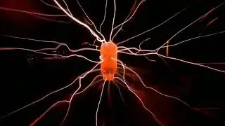 Red Particle Plasma Lamp, No Copyright, Copyright Free Video, Motion Graphics, Background Video