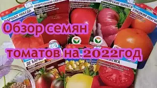 Обзор сортов томатов Маршал Победа, Андреевский сюрприз, Сибирские шаньги, Сибирский абрикос и др