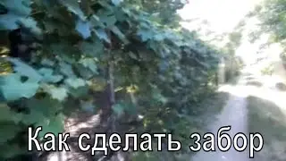 Как сделать забор своими руками, живая изгородь на даче