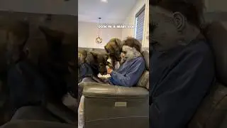 German Shepherds vs Michael Myers