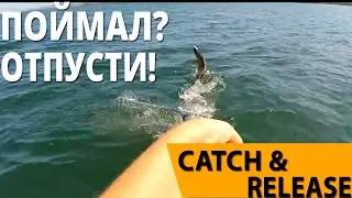 Красивая свечка щуки - Поймал щуку на спиннинг в озере Байкал и отпустил