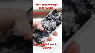 27 сентября 2023 г.