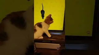 I'm shocked!