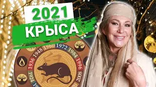 Астрологический прогноз на 2021 год Металлического Быка. КРЫСА - будьте скромными