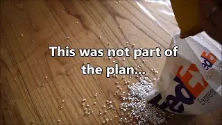 MASSIVE Unboxing of 160 oz Silver Shot - My Biggest Order Ever!