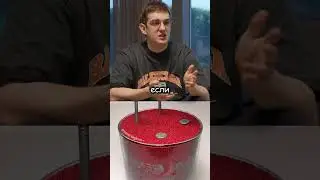 twitch: Evelone2004 - Феномен Америкосов 