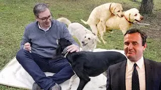 Kurti i nepokorno srpsko kuče na Kosovu 🐶