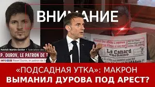 «Подсадная утка»: Макрон выманил Дурова под арест?