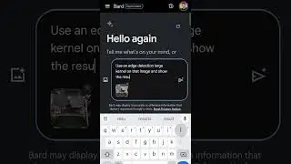 Bard is doing it wrong!!! with images