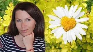 Распаковка посылок с растениями для участка ✿ лиана ✿ многолетники для клумб и сада