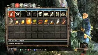 Dark Souls 2 INFINITE ITEMS CHEAT (trainer +14)