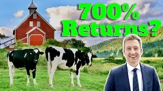 Farmland Investing for Beginners 2024 (How To Buy Land)