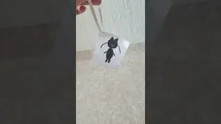 квами плаг из леди баг