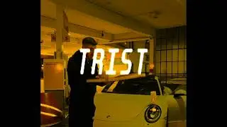 [FREE] MUSSO X BOBBY VANDAMME X NGEE Type Beat "TRIST" (prod egge) TAGELANGE REGENTROPFEN TYPE Beat