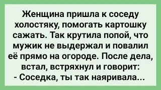 Сосед Холостяк Повали Женщину на Огороде! Сборник Свежих Смешных Жизненных Анекдотов!