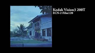 Kodak Vision3 200T Film120