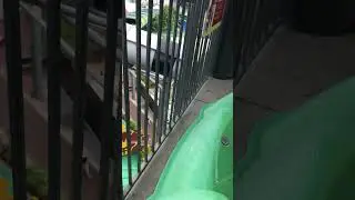 Паттайя. Аквапарк Amazone Cartoon Network Water Park. 