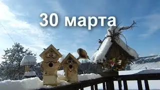 Чем  подкармливать  зимой птиц