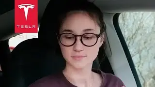 Tesla Road Rage