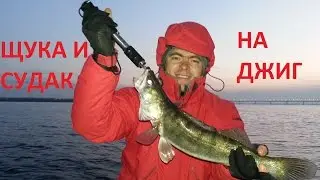 Щука и судак на джиг. Открытие сезона весна