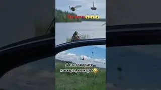 Оводы напали на рыбаков😱! Ужас на рыбалке!!! Будет много крови!!!