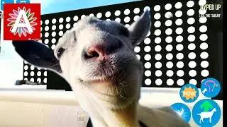 Симулятор козла!! Дискотека, Атака зомби и ММО режим!!!!