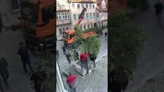 Установка праздничного дерева в Германии 