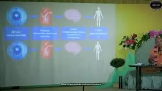 Бхакти Вигьяна Госвами Махарадж (В.М. Тунеев) - Ретрит. Мозг и эмоции. (Часть 1)