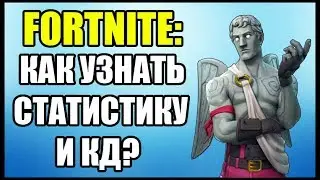 Fortnite: Как узнать статистику и КД?