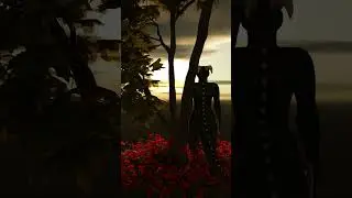 The Sunset Sky | YouTube #shorts