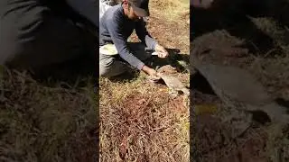 Ага Ира кавгбоз меган