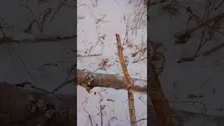 Узнали что за песня😆? 