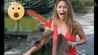 Malu Sekali!! Kejadian Tak Terduga Saat Live TV