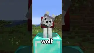 new wolves in minecwaft