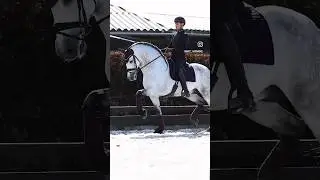 How to get your horse to focus 👨🏻‍💻👔💼