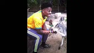 iShowSpeed Learn About Kangaroo Strength 🤯🔥