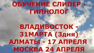 ОБУЧЕНИЕ СЛИПЕР - ГИПНОЛОГ. ВЛАДИВОСТОК / АЛМАТЫ / МОСКВА