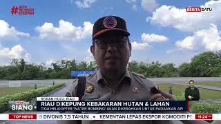 Riau Terbakar Lagi! 229 Hektare Hutan Ludes di Rokan Hulu #Beritasatu