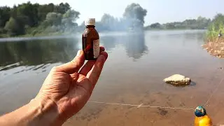 Рыбалка на  карася в сентябре. Это поможет вам ловить жирненьких золотистых и по многу+секреты ловли