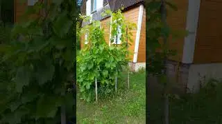 Загородная дача для чего она нужна