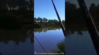 Трофейный Буффало на ПОПЛАВОК... ● Русская Рыбалка 4 | РР4