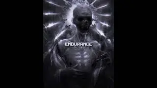 O5 Council vs Organization 