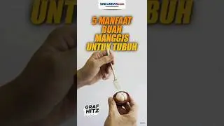 5 Manfaat Buah Manggis. 