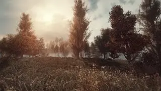 S.T.A.L.K.E.R GAMMA - Invictus - Part 12
