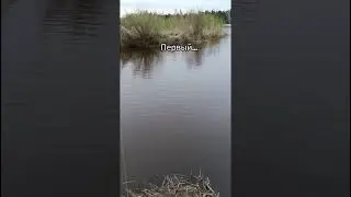 #рыбалка
