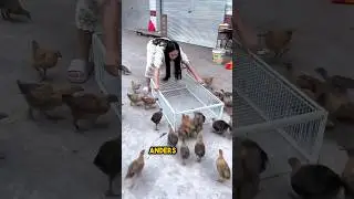 Die beste Vogelfalle aller Zeiten 😳